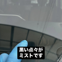 画像498
